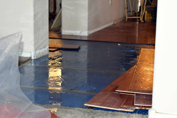 Professional Water Damage Restoration technician working in Canton, MN